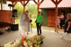 dzien_dzialkowca_2016_051